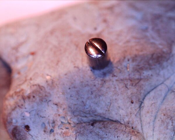 OMEGA 2406 Screw for: setting lever.