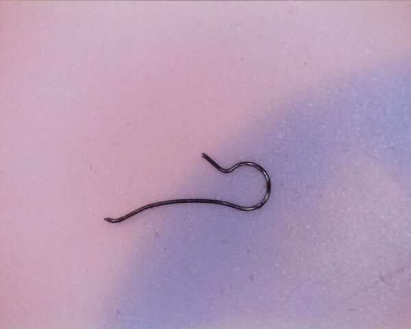 OMEGA 560-1529 Date jumper spring.